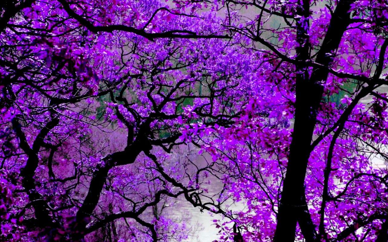 Violet #Colony_White_Tower Daire Selanik Dış mekan fotoğraf